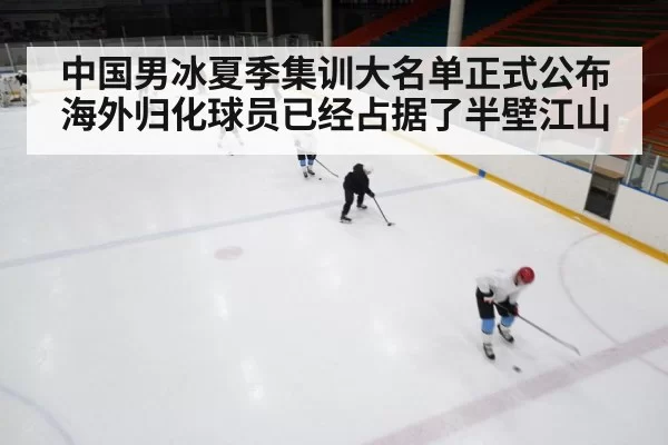 中国男冰夏季集训大名单正式公布 海外归化球员已经占据了半壁江山