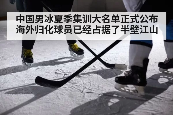 ice hockey player action