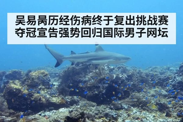 吴易昺历经伤病终于复出挑战赛夺冠宣告强势回归国际男子网坛