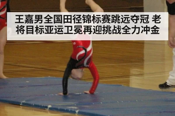 王嘉男全国田径锦标赛跳远夺冠 老将目标亚运卫冕再迎挑战全力冲金